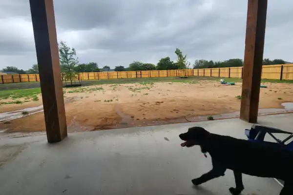 Professional Fence Contractor